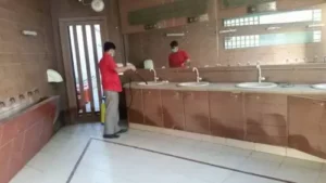 Cockroach Spray and Control