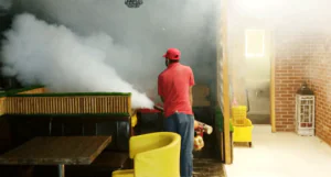 Mosquitoes Spray 1