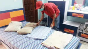 Bedbugs Spray 2